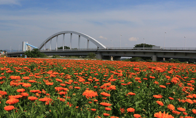 祝橋